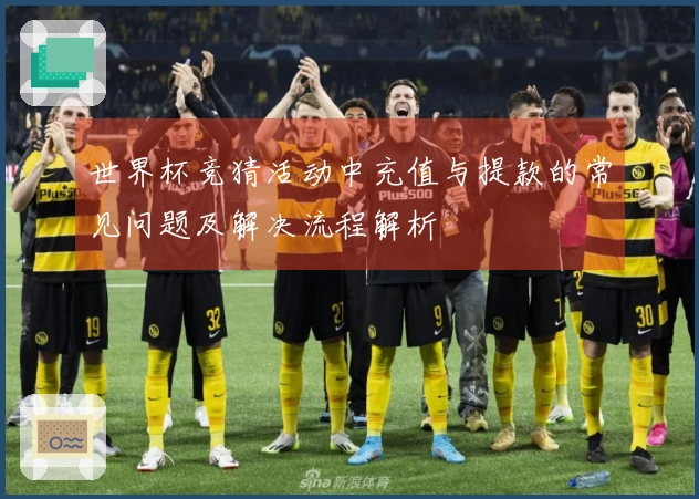 世界杯竞猜活动中充值与提款的常见问题及解决流程解析