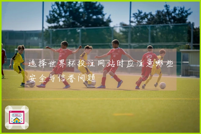 选择世界杯投注网站时应注意哪些安全与信誉问题
