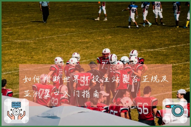 如何判断世界杯投注站是否正规及亚洲盘口入门指南
