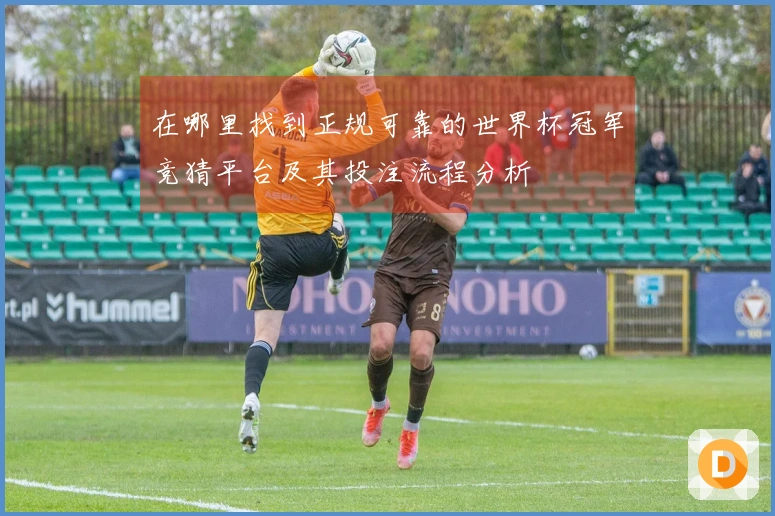 在哪里找到正规可靠的世界杯冠军竞猜平台及其投注流程分析
