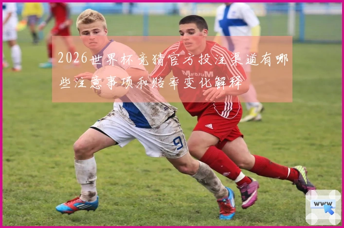 2026世界杯竞猜官方投注渠道有哪些注意事项和赔率变化解释