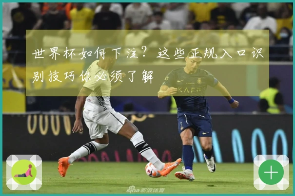 世界杯如何下注？这些正规入口识别技巧你必须了解