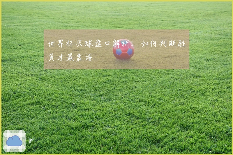 世界杯买球盘口解析：如何判断胜负才最靠谱