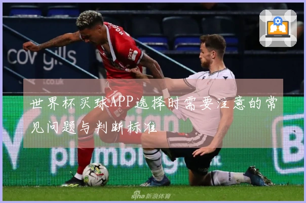 世界杯买球APP选择时需要注意的常见问题与判断标准