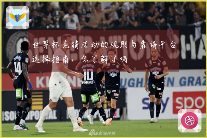 世界杯竞猜活动的规则与靠谱平台选择指南，你了解了吗
