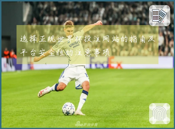 选择正规世界杯投注网站的指南及平台安全性的注意事项
