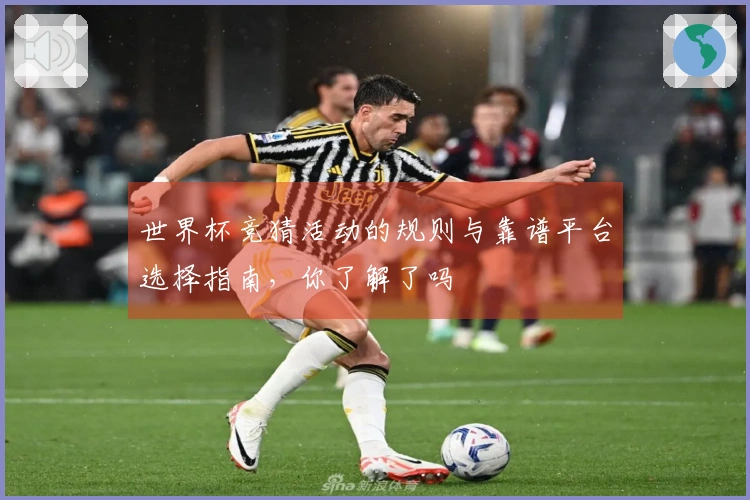 世界杯竞猜活动的规则与靠谱平台选择指南，你了解了吗