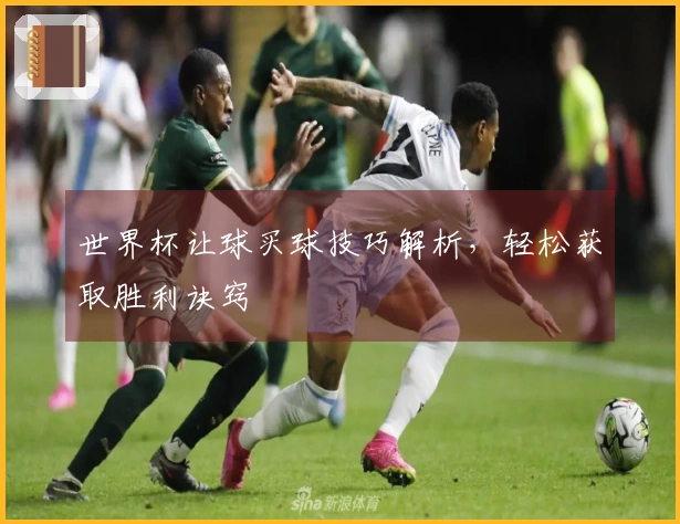 世界杯让球买球技巧解析，轻松获取胜利诀窍
