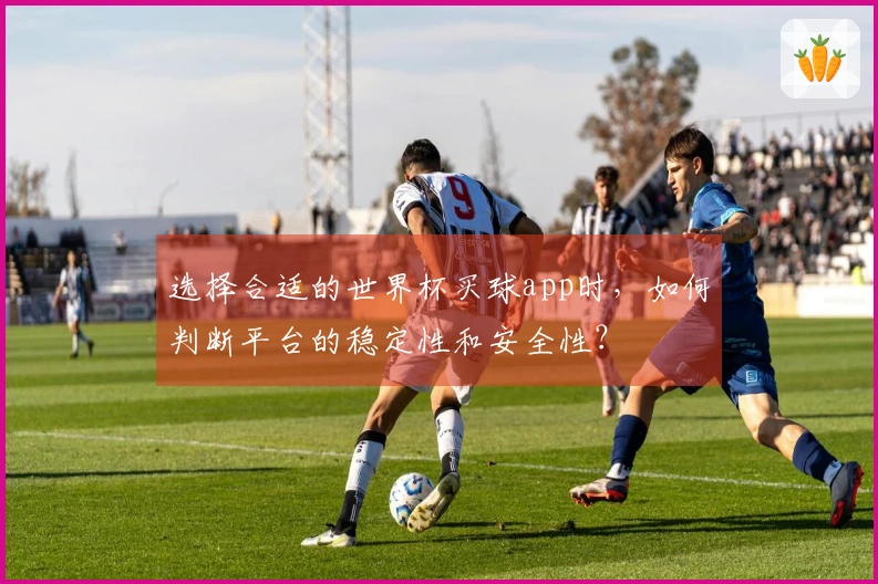选择合适的世界杯买球app时，如何判断平台的稳定性和安全性？