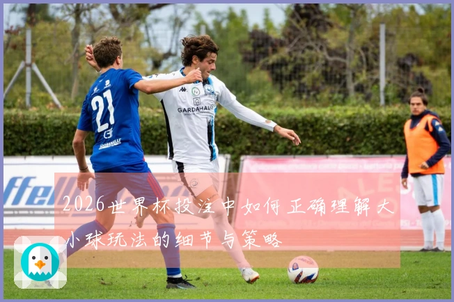 2026世界杯投注中如何正确理解大小球玩法的细节与策略
