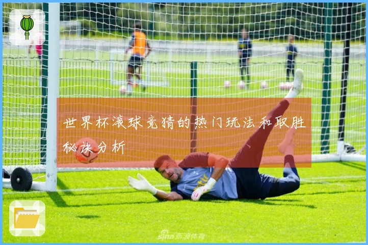 世界杯滚球竞猜的热门玩法和取胜秘诀分析