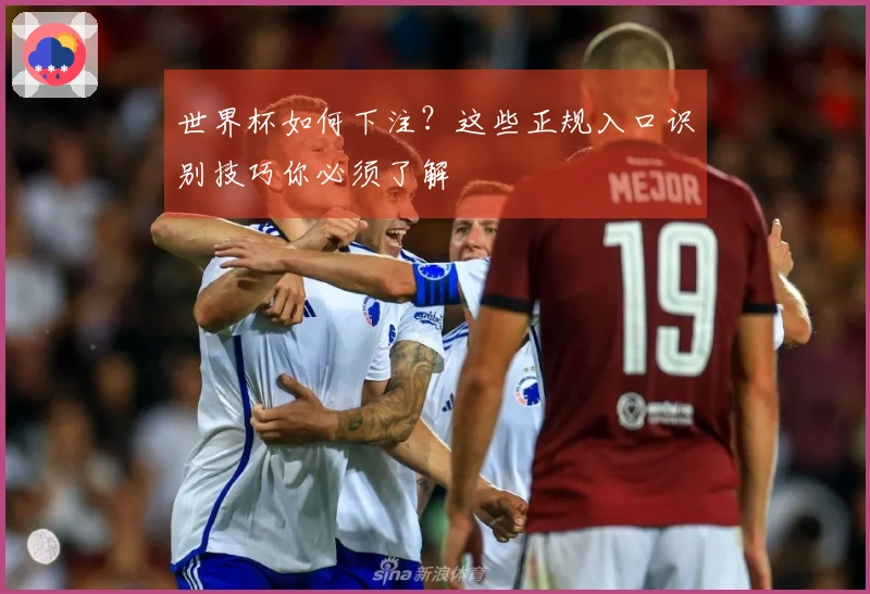 世界杯如何下注？这些正规入口识别技巧你必须了解