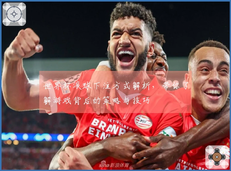 世界杯滚球下注方式解析，带你了解游戏背后的策略与技巧