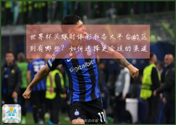 世界杯买球时体彩和各大平台的区别有哪些？如何选择更合适的渠道？