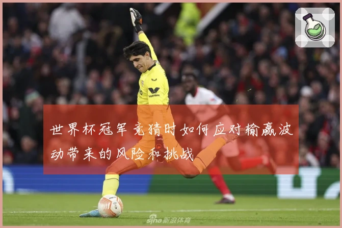 世界杯冠军竞猜时如何应对输赢波动带来的风险和挑战