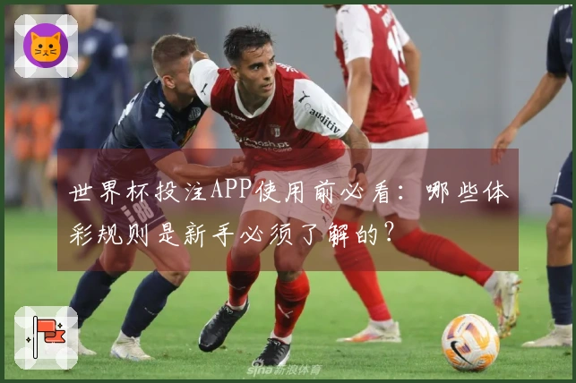 世界杯投注APP使用前必看：哪些体彩规则是新手必须了解的？