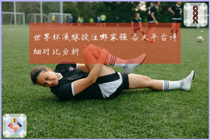世界杯滚球投注哪家强 各大平台详细对比分析