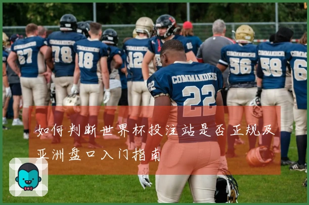 如何判断世界杯投注站是否正规及亚洲盘口入门指南
