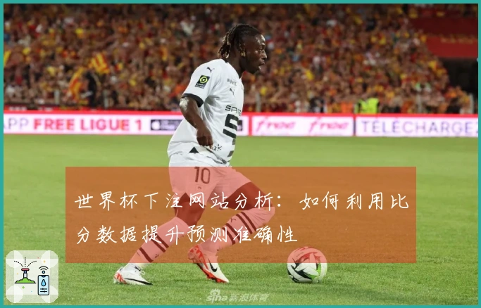 世界杯下注网站分析:如何利用比分数据提升预测准确性
