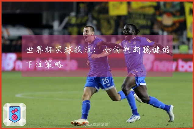 世界杯买球投注：如何判断稳健的下注策略