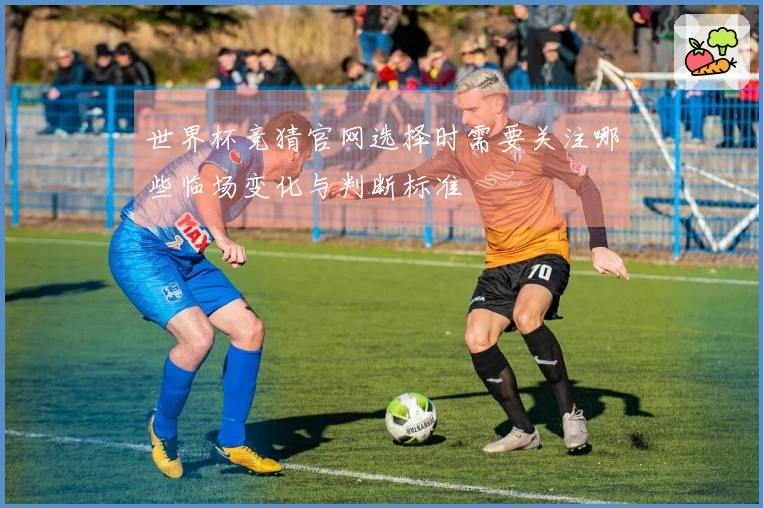 世界杯竞猜官网选择时需要关注哪些临场变化与判断标准