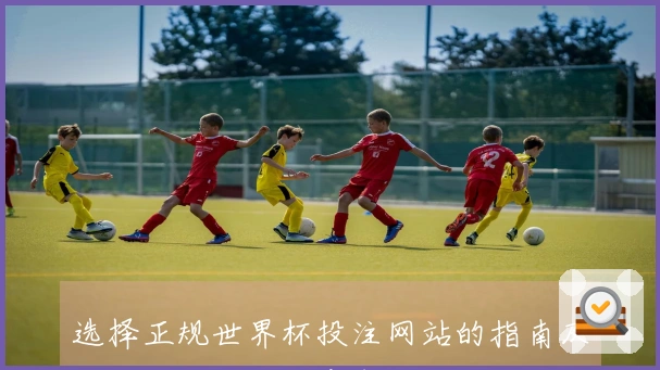 选择正规世界杯投注网站的指南及平台安全性的注意事项