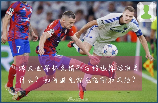 烽火世界杯竞猜平台的选择标准是什么?如何避免常见陷阱和风险?